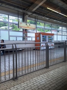 11659502_929621377103697_2376567012697096160_n