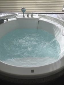 IMG_1567 - コピー