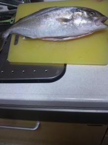 姫☆のご機嫌な毎日♪