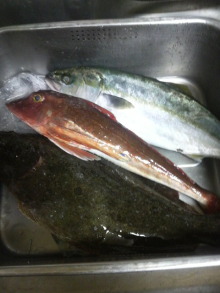 姫☆のご機嫌な毎日♪