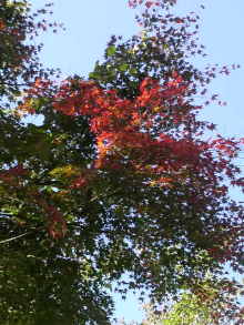 姫☆のご機嫌な毎日♪