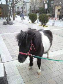 姫☆先生のご機嫌な毎日♪