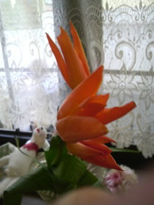 姫☆先生のご機嫌な毎日♪