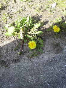 あやこ☆先生のハッピー♪ラッキー♪大好き～♪