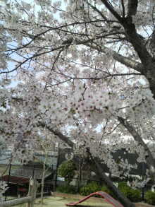 あやこ☆先生のハッピー♪ラッキー♪大好き~♪