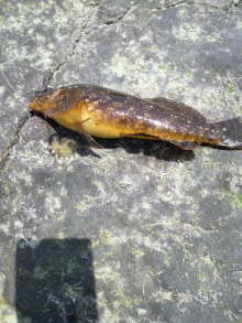 あやこ☆先生のハッピー♪ラッキー♪大好き～♪