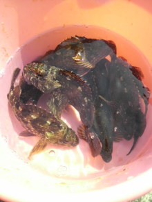 あやこ☆先生のハッピー♪ラッキー♪大好き～♪