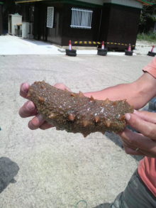 あやこ☆先生のハッピー♪ラッキー♪大好き~♪