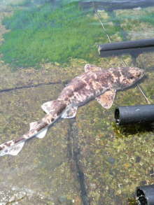 あやこ☆先生のハッピー♪ラッキー♪大好き～♪