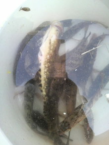 あやこ☆先生のハッピー♪ラッキー♪大好き~♪