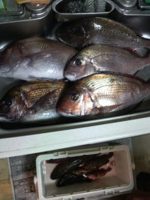 あやこ☆先生のハッピー♪ラッキー♪大好き~♪