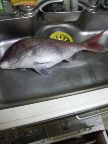 あやこ☆先生のハッピー♪ラッキー♪大好き~♪