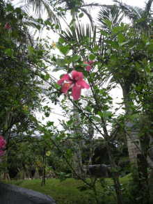 あやこ☆先生のハッピー♪ラッキー♪大好き～♪