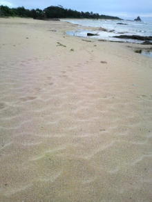 あやこ☆先生のハッピー♪ラッキー♪大好き～♪