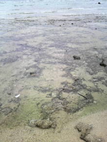 あやこ☆先生のハッピー♪ラッキー♪大好き～♪