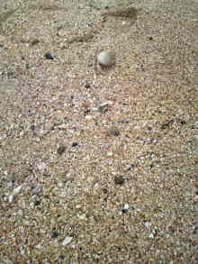 あやこ☆先生のハッピー♪ラッキー♪大好き～♪