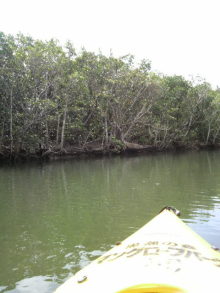 あやこ☆先生のハッピー♪ラッキー♪大好き~♪
