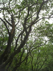 あやこ☆先生のハッピー♪ラッキー♪大好き~♪