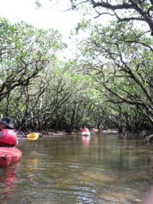 あやこ☆先生のハッピー♪ラッキー♪大好き~♪