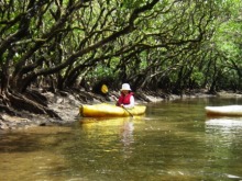 あやこ☆先生のハッピー♪ラッキー♪大好き~♪