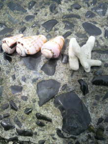 あやこ☆先生のハッピー♪ラッキー♪大好き～♪