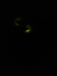 あやこ☆先生のハッピー♪ラッキー♪大好き～♪