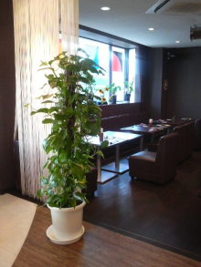 あやこ☆先生のハッピー♪ラッキー♪大好き～♪