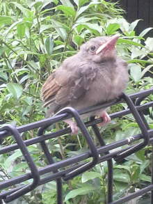 あやこ☆先生のハッピー♪ラッキー♪大好き~♪