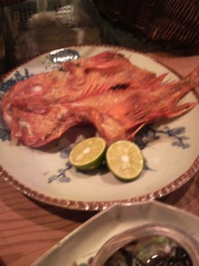 あやこ☆先生のハッピー♪ラッキー♪大好き~♪