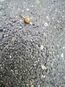 あやこ☆先生のハッピー♪ラッキー♪大好き~♪