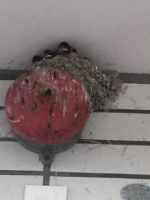 あやこ☆先生のハッピー♪ラッキー♪大好き~♪