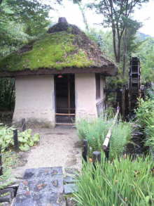 あやこ☆先生のハッピー♪ラッキー♪大好き～♪