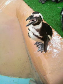 あやこ☆先生のハッピー♪ラッキー♪大好き～♪