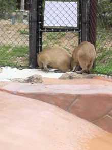 あやこ☆先生のハッピー♪ラッキー♪大好き～♪