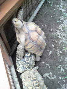 あやこ☆先生のハッピー♪ラッキー♪大好き～♪