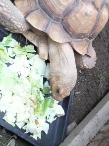 あやこ☆先生のハッピー♪ラッキー♪大好き～♪