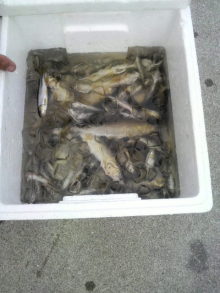 あやこ☆先生のハッピー♪ラッキー♪大好き～♪