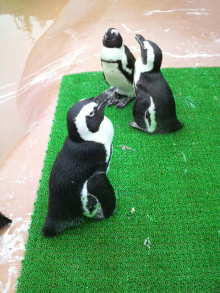 あやこ☆先生のハッピー♪ラッキー♪大好き~♪