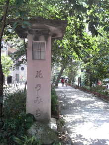 あやこ☆先生のハッピー♪ラッキー♪大好き~♪