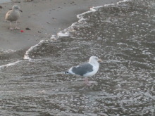 あやこ☆先生のハッピー♪ラッキー♪大好き~♪