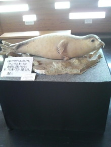 あやこ☆先生のハッピー♪ラッキー♪大好き~♪