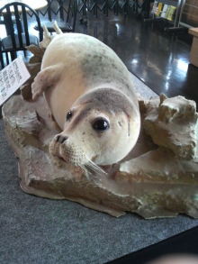 あやこ☆先生のハッピー♪ラッキー♪大好き~♪