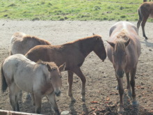 あやこ☆先生のハッピー♪ラッキー♪大好き~♪