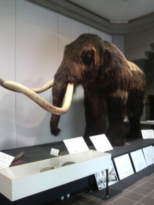 あやこ☆先生のハッピー♪ラッキー♪大好き~♪