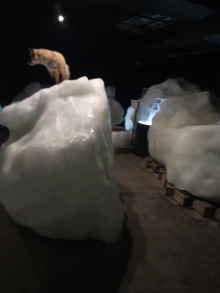 あやこ☆先生のハッピー♪ラッキー♪大好き~♪