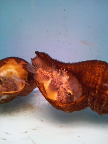 あやこ☆先生のハッピー♪ラッキー♪大好き~♪