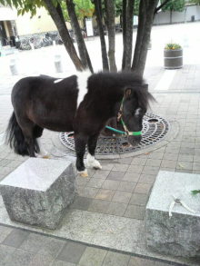 あやこ☆先生のハッピー♪ラッキー♪大好き~♪