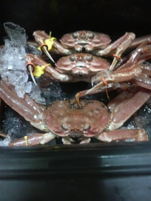 あやこ☆先生のハッピー♪ラッキー♪大好き～♪