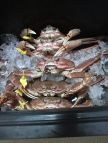 あやこ☆先生のハッピー♪ラッキー♪大好き～♪