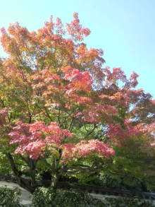 あやこ☆先生のハッピー♪ラッキー♪大好き～♪